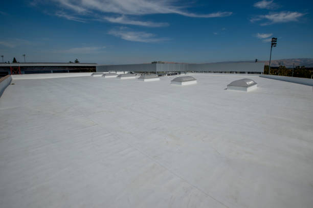 Best Storm Damage Roof Repair  in Altamont, TN