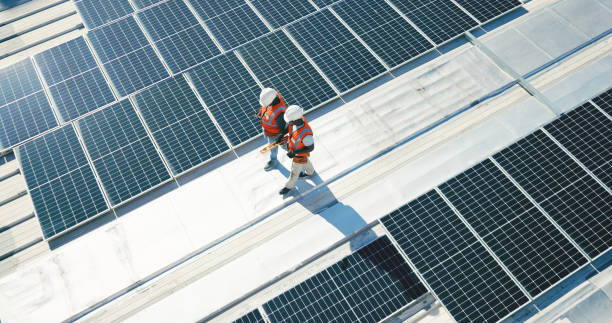 Best Skylight Installation and Repair  in Altamont, TN