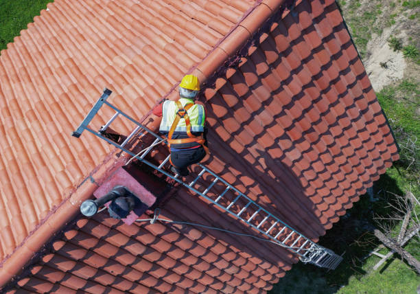 Best Asphalt Shingle Roofing  in Altamont, TN