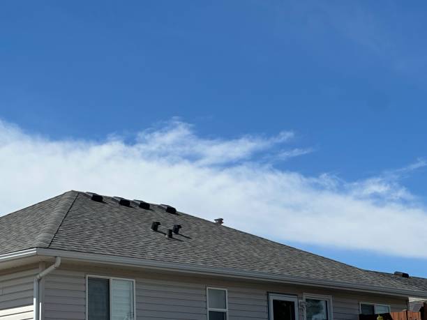 Best Asphalt Shingles Roofing  in Altamont, TN